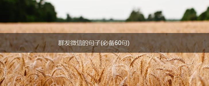 群发微信的句子(必备60句),第1张