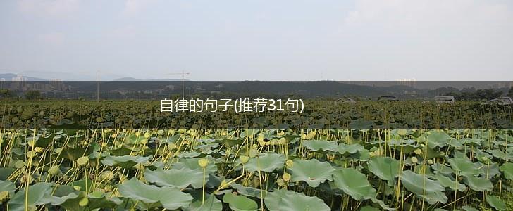 自律的句子(推荐31句),第1张