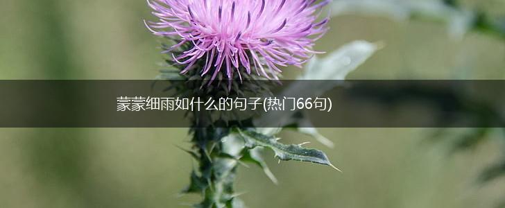 蒙蒙细雨如什么的句子(热门66句),第1张