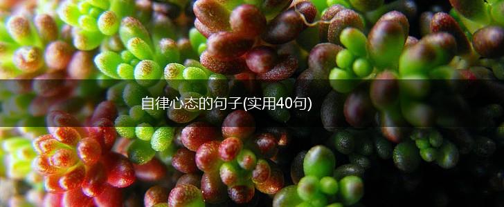 自律心态的句子(实用40句),第1张