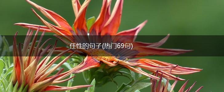 任性的句子(热门69句),第1张