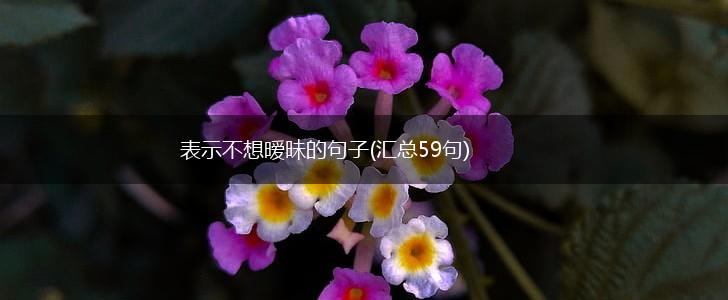 表示不想暧昧的句子(汇总59句),第1张