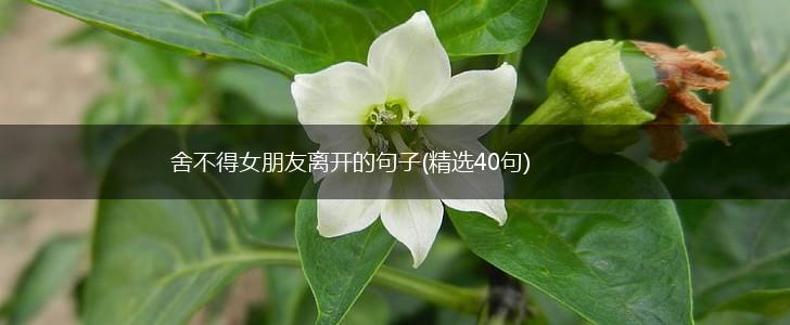 舍不得女朋友离开的句子(精选40句),第1张