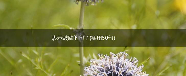表示鼓励的句子(实用50句),第1张