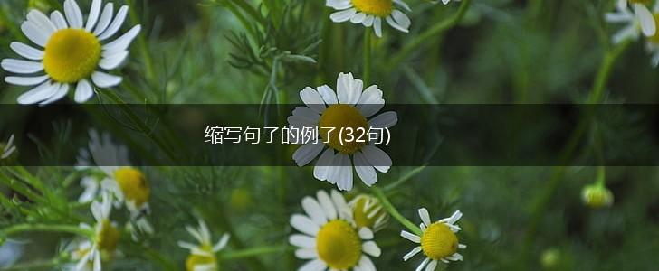 缩写句子的例子(32句),第1张