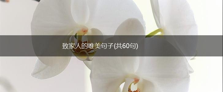 致家人的唯美句子(共60句),第1张