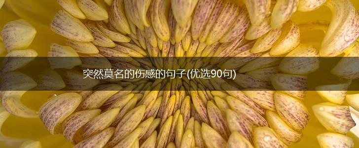 突然莫名的伤感的句子(优选90句),第1张