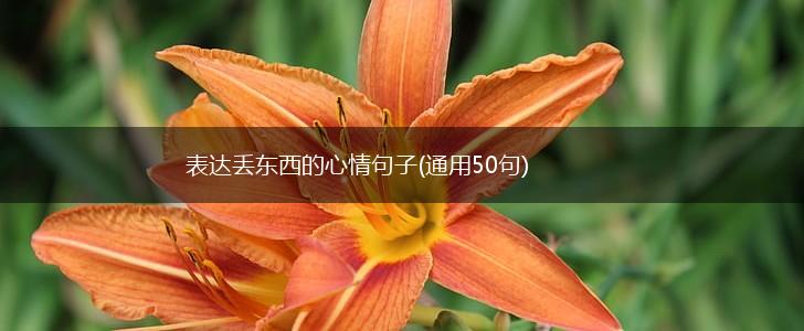 表达丢东西的心情句子(通用50句),第1张