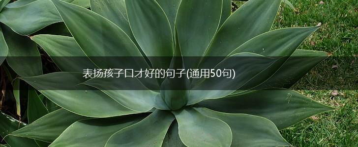 表扬孩子口才好的句子(通用50句),第1张