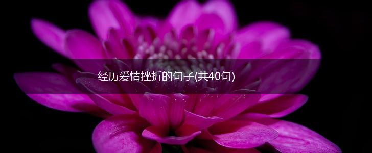 经历爱情挫折的句子(共40句),第1张