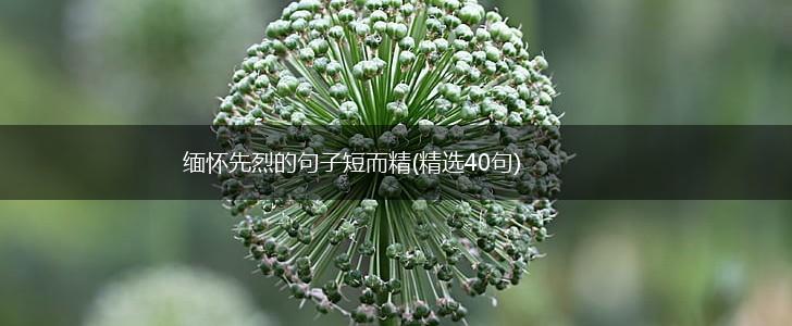缅怀先烈的句子短而精(精选40句),第1张