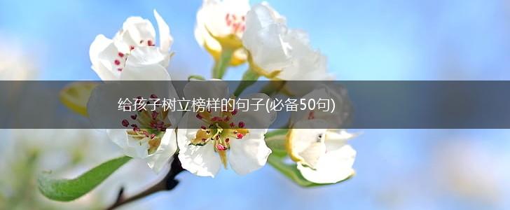 给孩子树立榜样的句子(必备50句),第1张