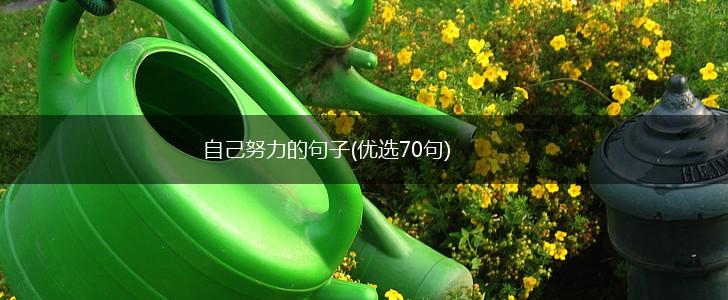 自己努力的句子(优选70句),第1张