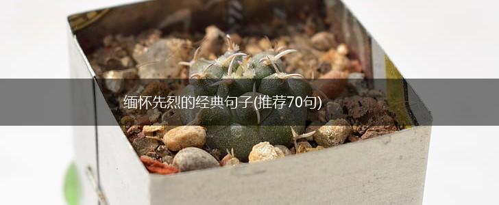 缅怀先烈的经典句子(推荐70句),第1张