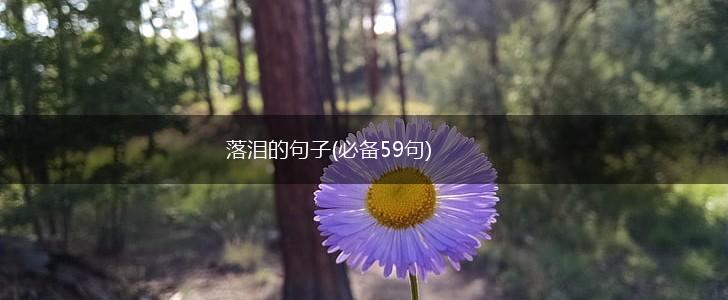 落泪的句子(必备59句),第1张