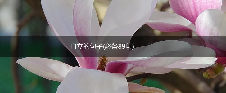 自立的句子(必备89句),第1张