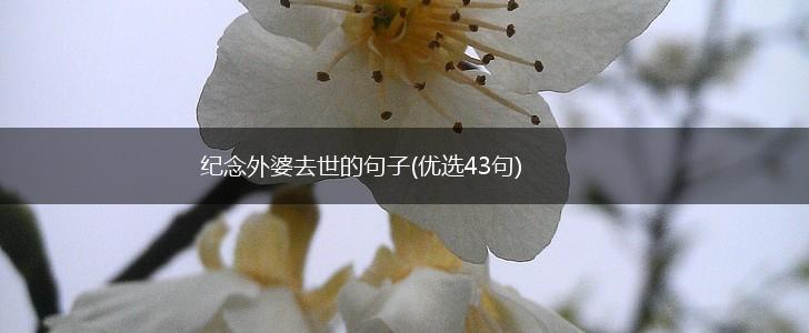 纪念外婆去世的句子(优选43句),第1张
