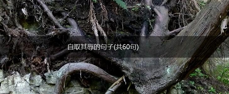 自取其辱的句子(共60句),第1张