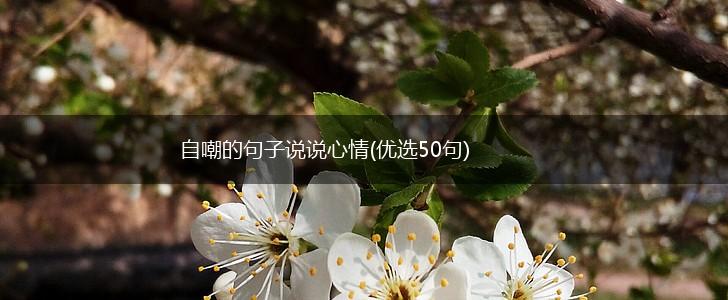 自嘲的句子说说心情(优选50句),第1张
