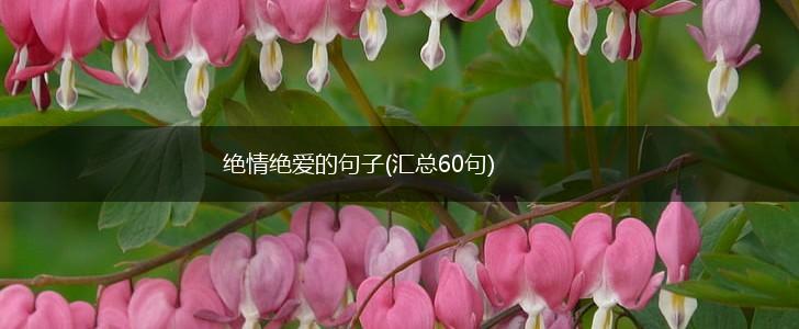 绝情绝爱的句子(汇总60句),第1张