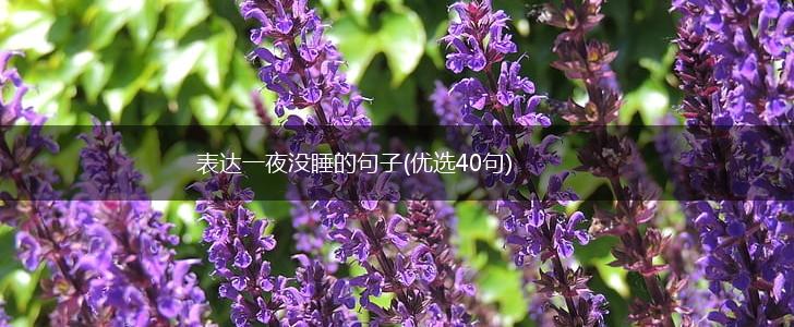 表达一夜没睡的句子(优选40句),第1张
