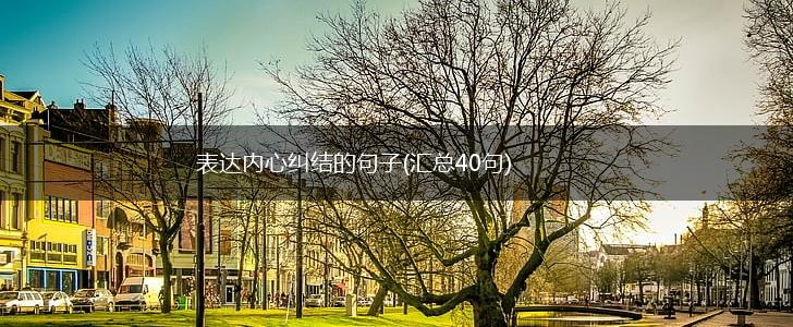 表达内心纠结的句子(汇总40句),第1张