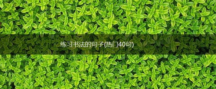 练习书法的句子(热门40句),第1张