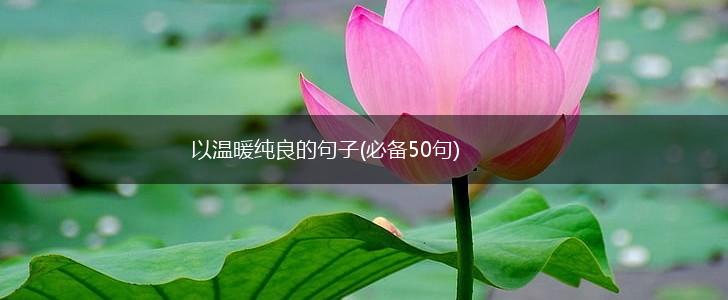 以温暖纯良的句子(必备50句),第1张