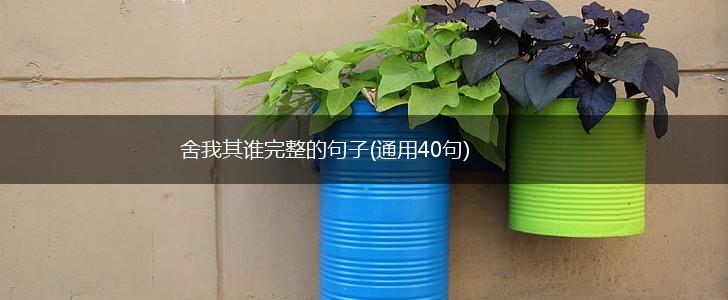 舍我其谁完整的句子(通用40句),第1张