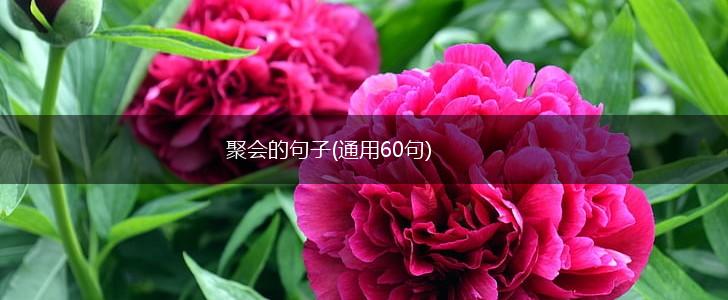 聚会的句子(通用60句),第1张