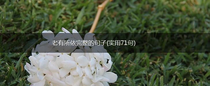 老有所依完整的句子(实用71句),第1张