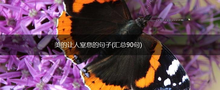 美的让人窒息的句子(汇总90句),第1张