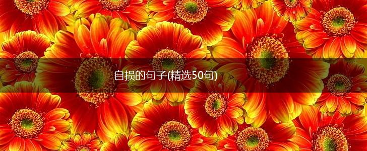 自损的句子(精选50句),第1张