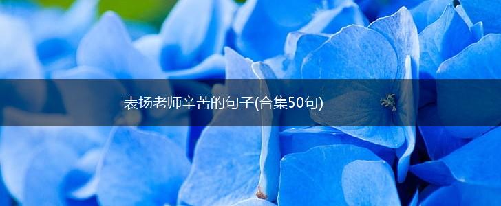表扬老师辛苦的句子(合集50句),第1张