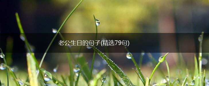 老公生日的句子(精选79句),第1张