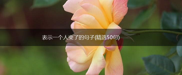 表示一个人变了的句子(精选50句),第1张