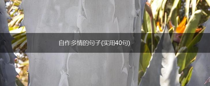 自作多情的句子(实用40句),第1张