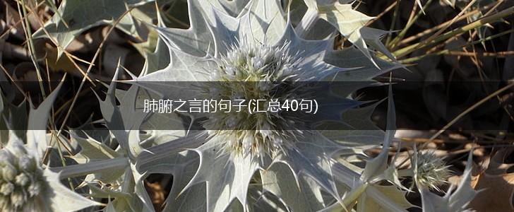 肺腑之言的句子(汇总40句),第1张