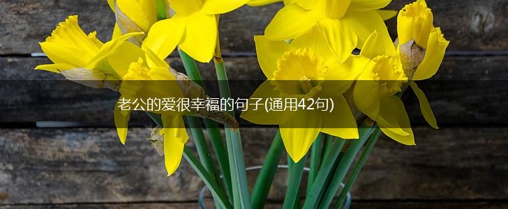 老公的爱很幸福的句子(通用42句),第1张