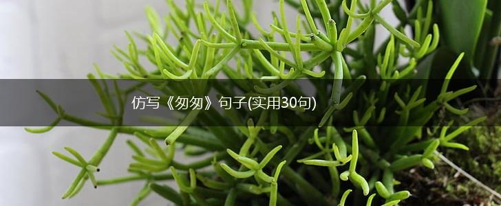仿写《匆匆》句子(实用30句),第1张