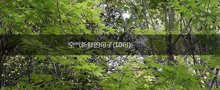 空气新鲜的句子(10句),第1张