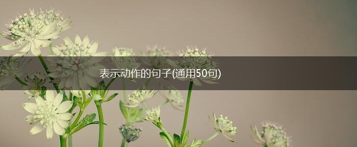 表示动作的句子(通用50句),第1张