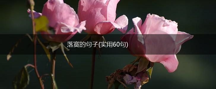 落寞的句子(实用60句),第1张
