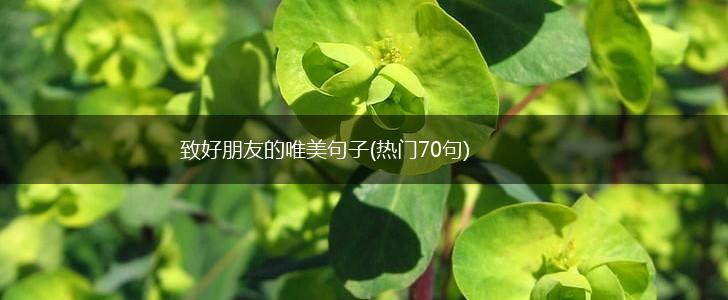 致好朋友的唯美句子(热门70句),第1张