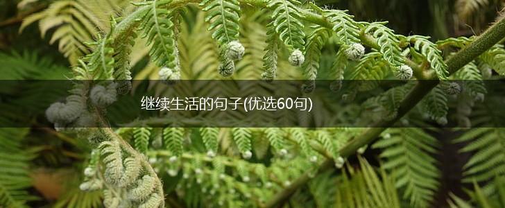 继续生活的句子(优选60句),第1张