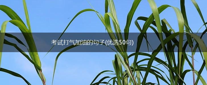 考试打气加油的句子(优选50句),第1张