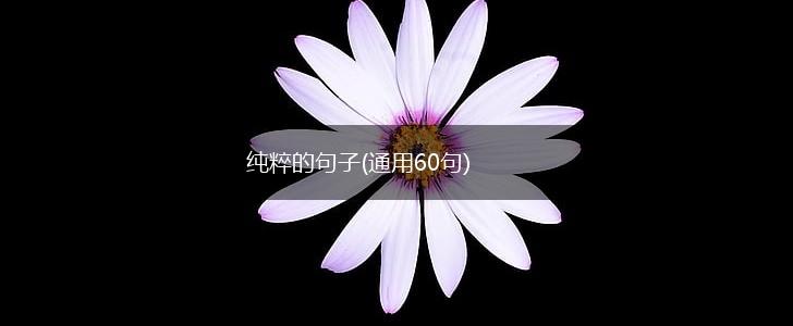 纯粹的句子(通用60句),第1张