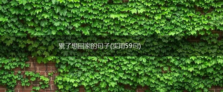 累了想回家的句子(实用59句),第1张