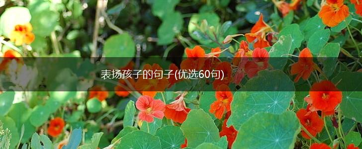 表扬孩子的句子(优选60句),第1张