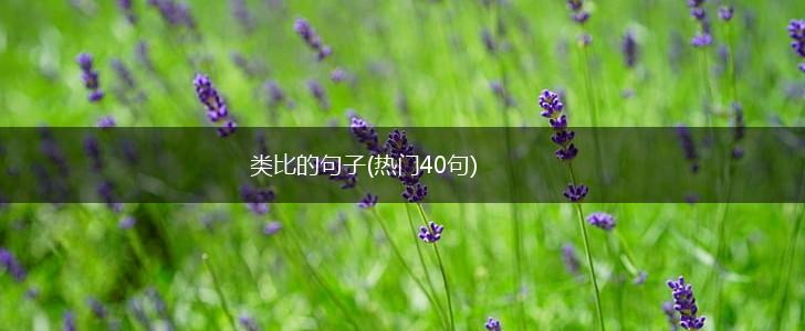 类比的句子(热门40句),第1张